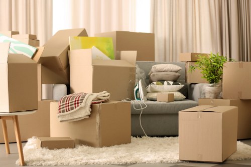 Careful loading of boxes and household items into a van