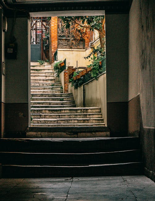 A view from inside an underground parking area or basement, looking out through a rectangular opening towards an outdoor staircase leading up to a residential area in Knightsbridge. The staircase is constructed from concrete steps with some visible weathering, and is flanked by concrete or brick retaining walls topped with green plants and flowers, including potted plants attached to the wall. The outdoor space beyond the stairs features a small garden with potted plants and foliage, a brick wall, and a wooden fence in the background. Natural daylight illuminates the scene, highlighting the textures of the concrete steps, brickwork, and greenery. This setting depicts a typical basement access point in a home, relevant to house removals and relocation services such as those provided by Man and Van Knightsbridge, especially as part of their furniture transport and moving logistics processes.